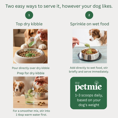 Oral Care Food Topper for Dogs