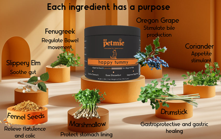 Happy Tummy Powder for Dogs | 60 scoops in a jar