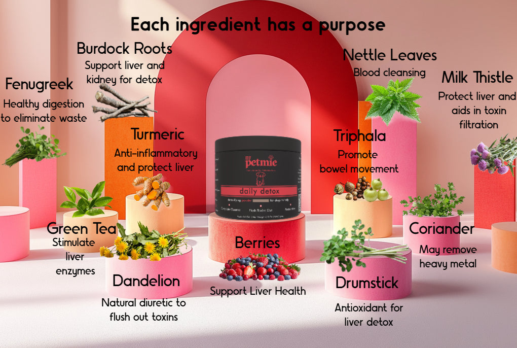 Daily Detox Powder for Dogs | 60 scoops in a jar