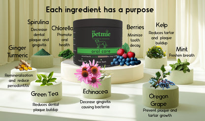 Oral Care Powder for Dogs | 60 scoops in a jar
