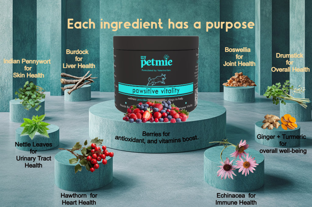 Pawsitive Vitality Powder for Dogs | 60 scoops in a jar