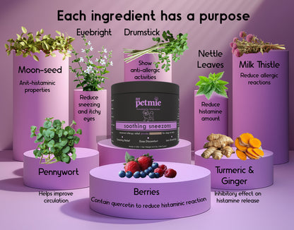 Soothing Sneezons Powder for Dogs | 60 scoops in a jar