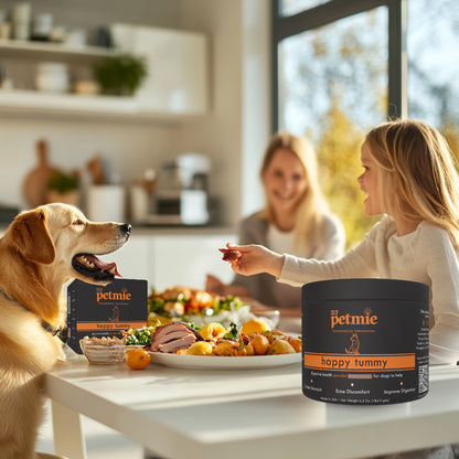 Happy Tummy Powder for Dogs | 60 scoops in a jar